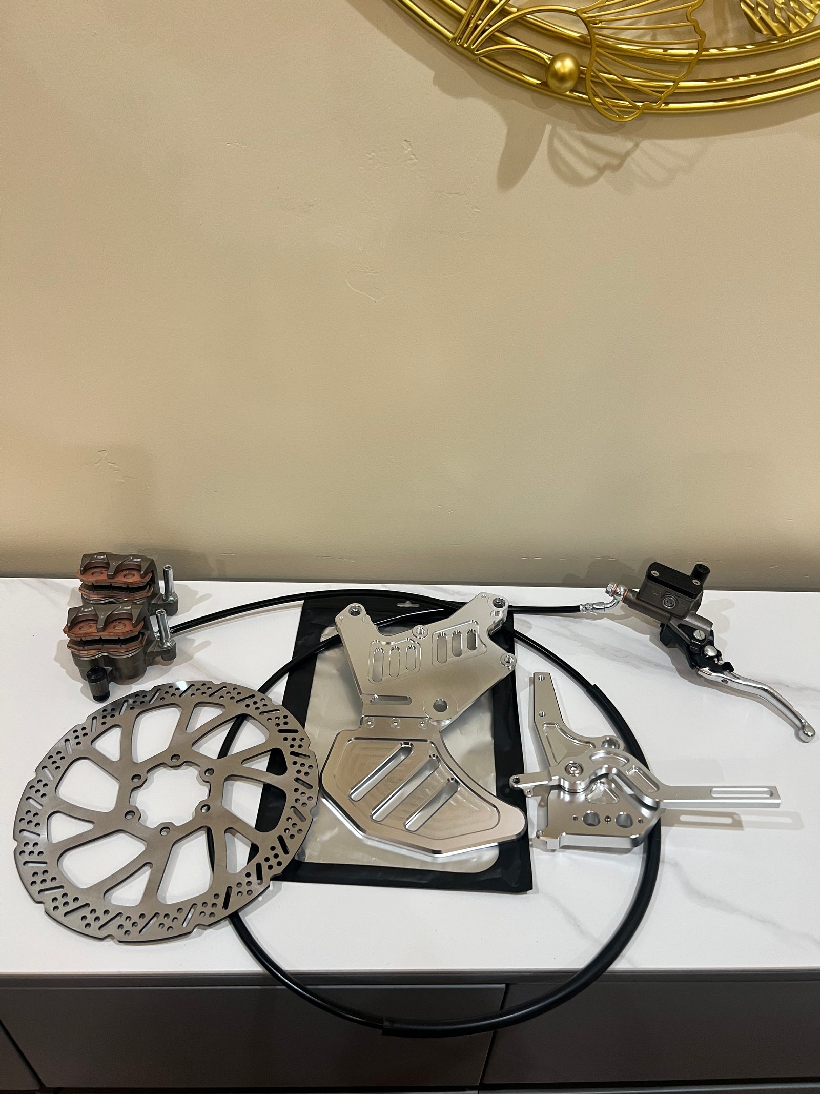 Moto footbrake pedal assembly, hand brake and dual calipers