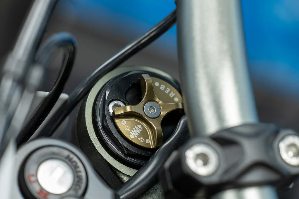 2024 Surron Ultra Bee