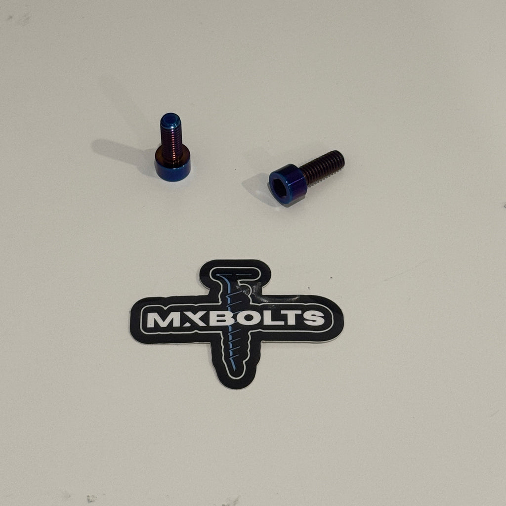 Titanium Side Baja Mount Bolts (set of 2)