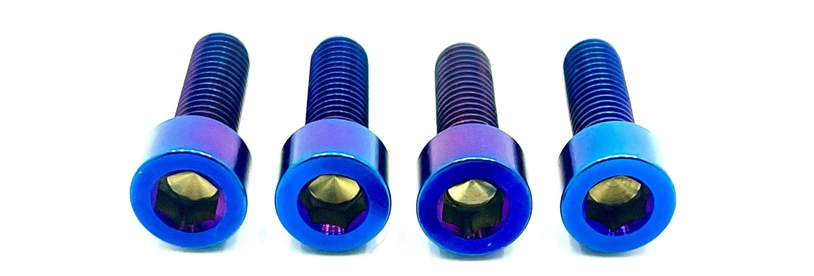 ALX32RC FastAce Fork Titanium Axle Pinch Bolts E-Ride Pro SS 3.0 and SR