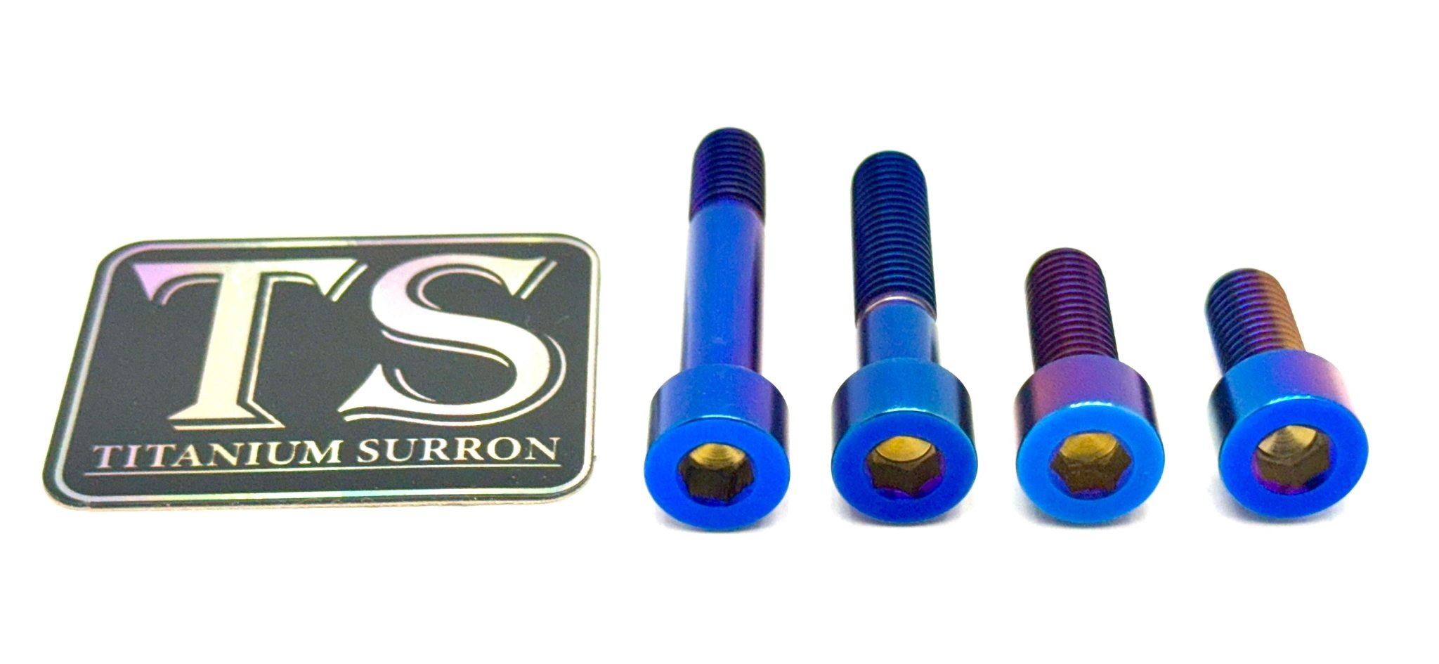 Titanium Motor Bolts - E-Ride Pro (all models)